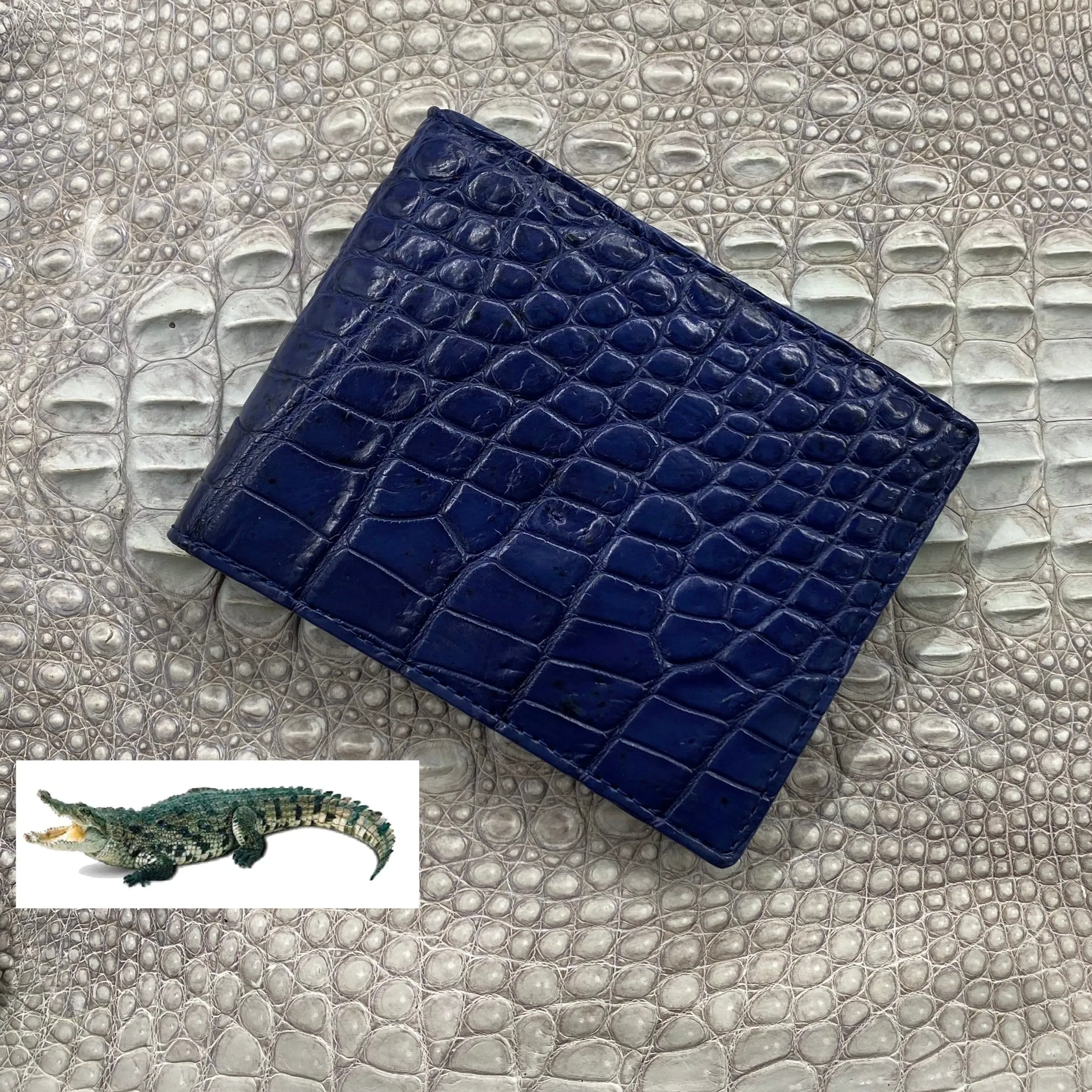 Blue Alligator Skin Bifold Wallet For Men | Handmade Crocodile Leather Wallet RFID Blocking | VL4554