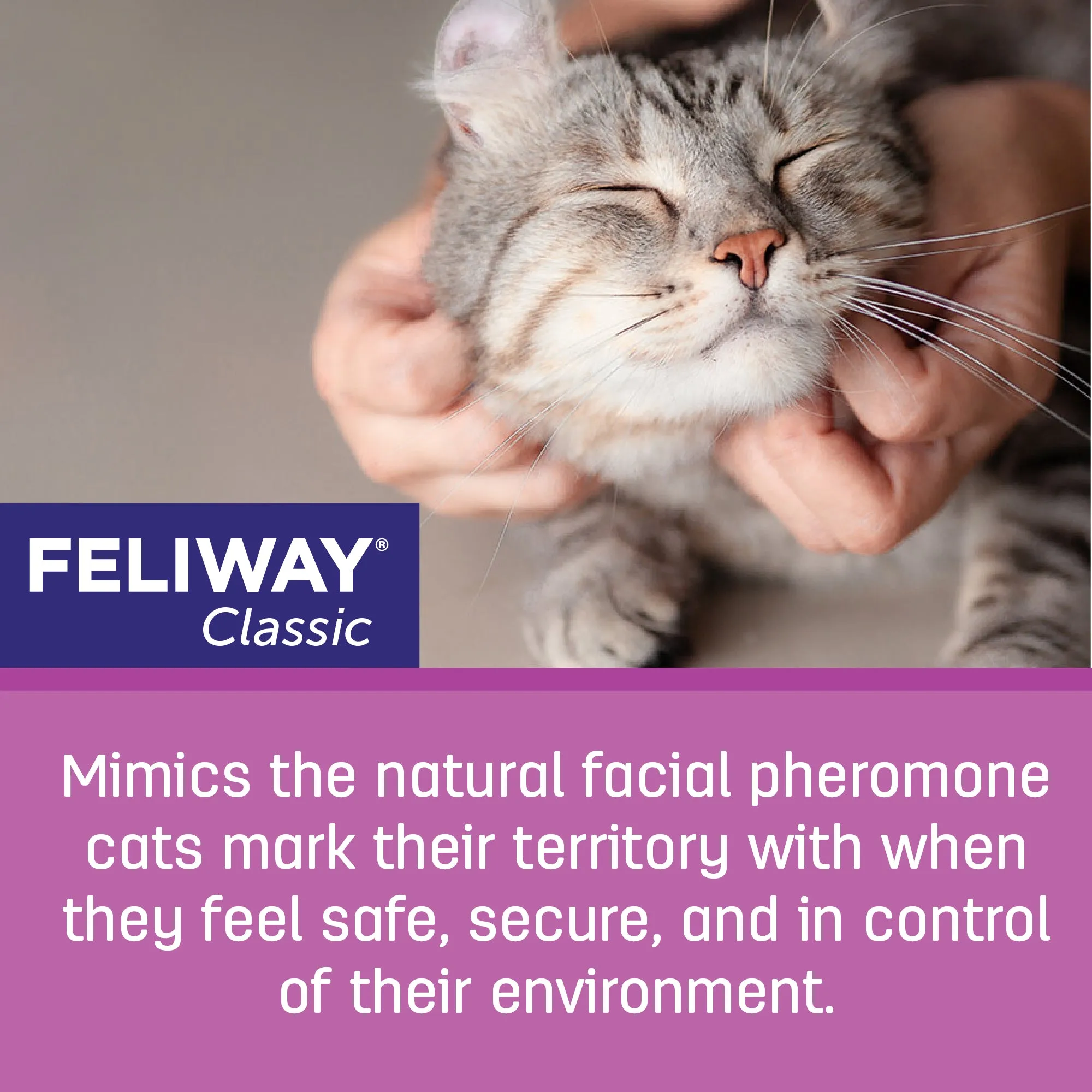 FELIWAY® Classic Refill