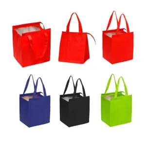 Non Woven Cooler Bag