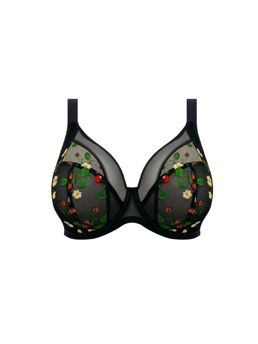 Samira Plunge Bra - Black